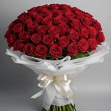 Букет 101 Красная роза Блэк Мэджик в Перелёшинский
