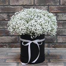 Цветочная композиция из Гипсофила в шляпной коробке в Перелёшинский
